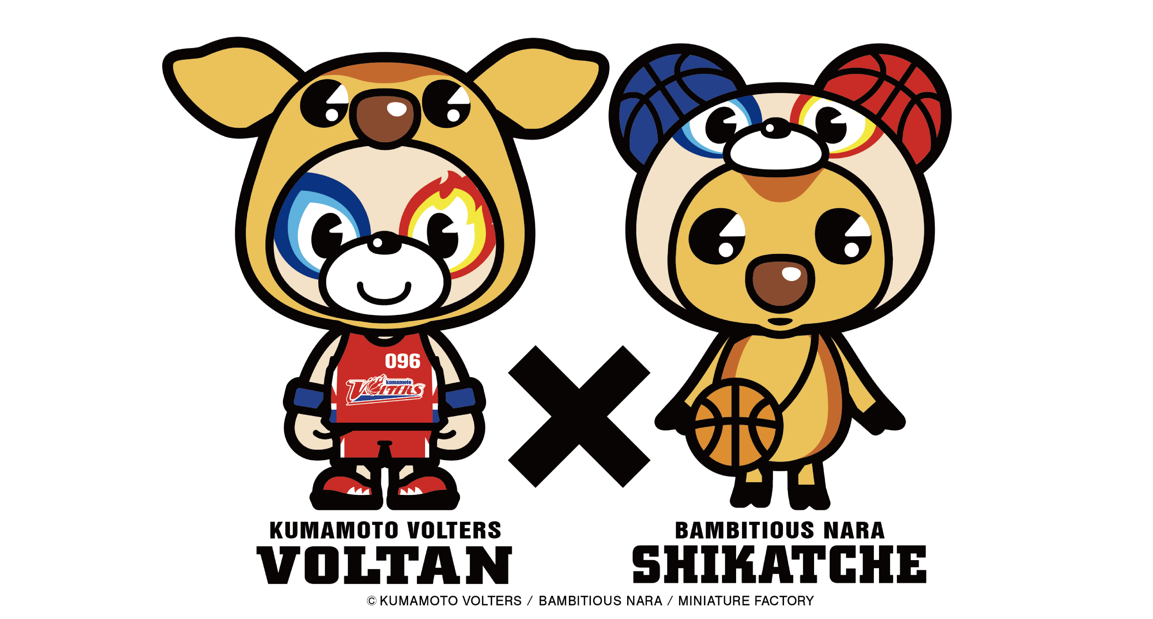 goods info] 3/29,30 グッズ 販売情報 | 熊本ヴォルターズ