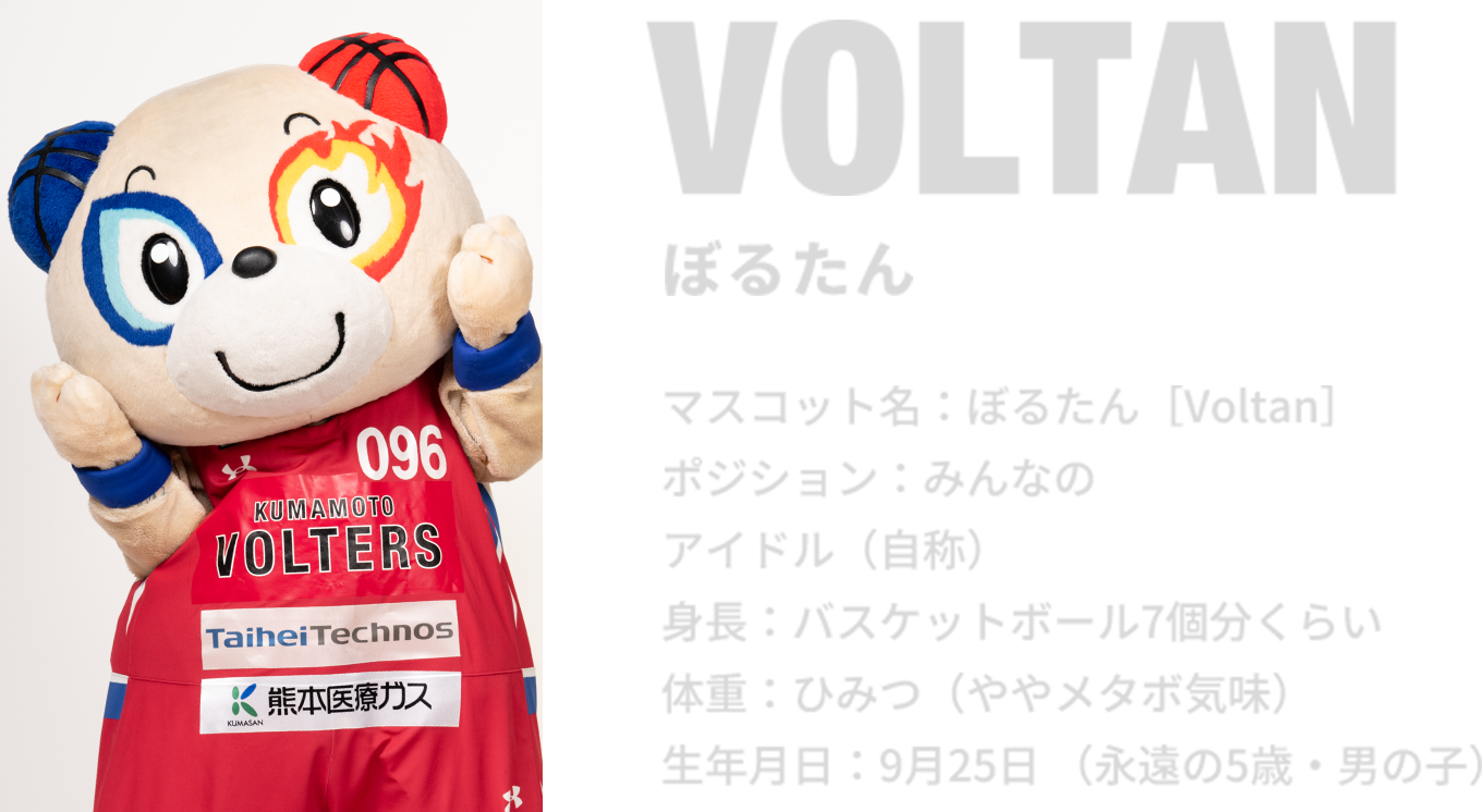 VOLTAN ぼるたん プロフィール