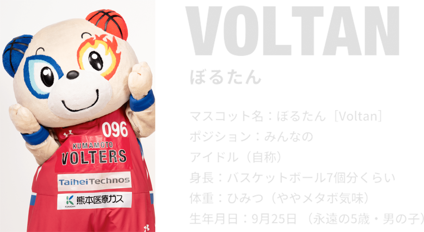 VOLTAN ぼるたん プロフィール