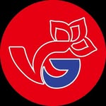 VG Profile