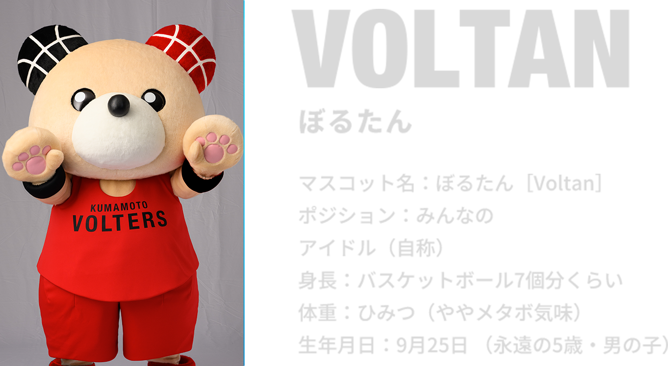 VOLTAN ぼるたん プロフィール